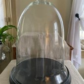 Extra Large Glass Cloche
