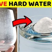 How To Remove Hard Water Stains From Glasses