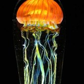 Jellyfish Glass Art