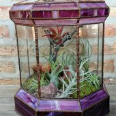 Stained Glass Terrarium Plans