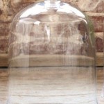 Extra Large Glass Dome With Base