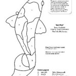Free Koi Fish Stained Glass Pattern