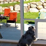 Sliding Glass Door With Dog Built In Utah